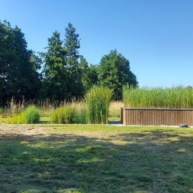 Jardin d'assainissement