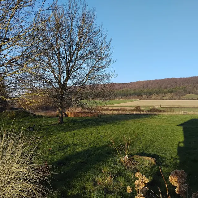 Jardin d'assainissement ©La Ferme du Pollet