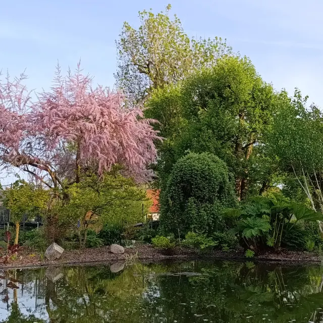 Jardin de Scielvain