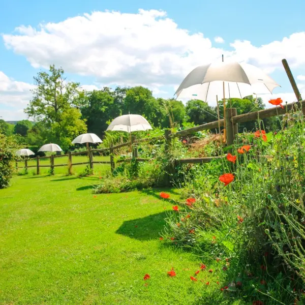 Lucy - Le jardin du crapaud à trois pattes