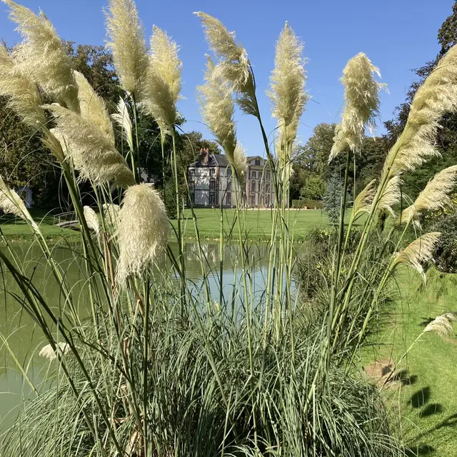 Jardins Bracquetuit 6