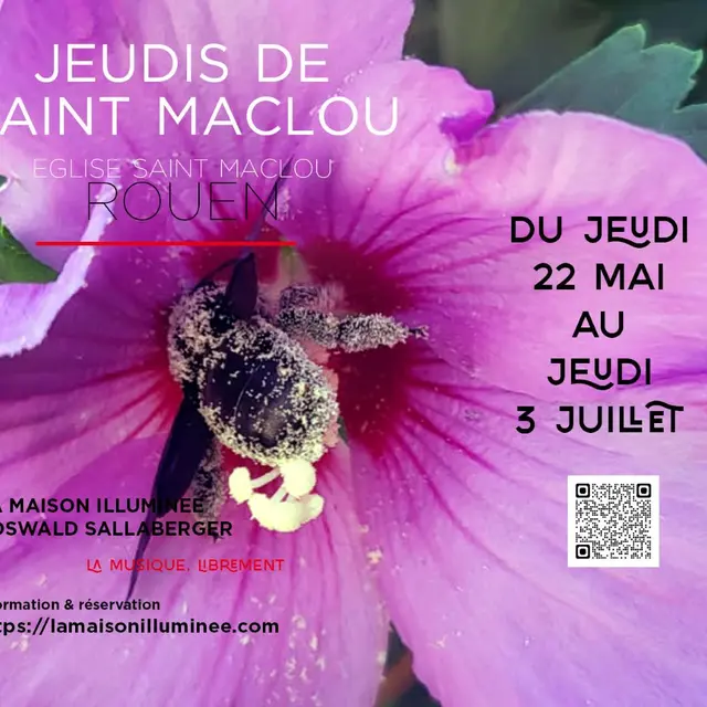 Jeudis de St Maclou 2025-2 - Rouen
