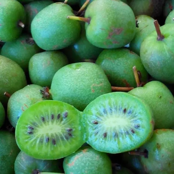 Kiwai