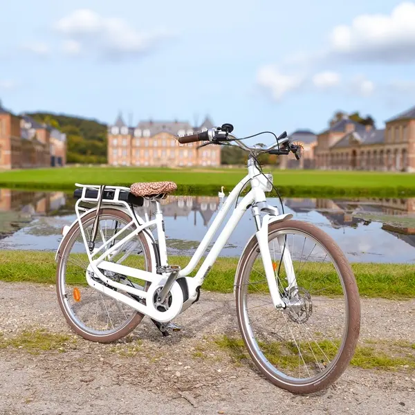 LOI_cany_roule ma poule©guery-2025 (1)