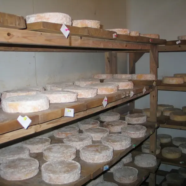 N00_saint-vaast-dieppedalle_pres-artemare©otpcm-2019.jpg (1)