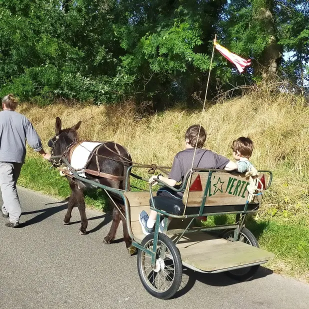 LOI_ste-colombe_etoile-verrte©darteyre-2022 (1)