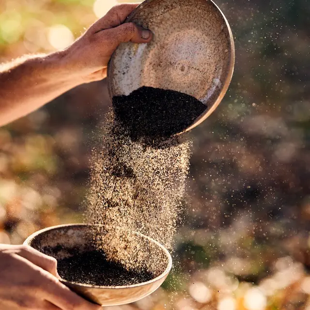 LNGzWSlDCiPly9dJc4X8j5VqhWWgzOXJ04Bnrceh