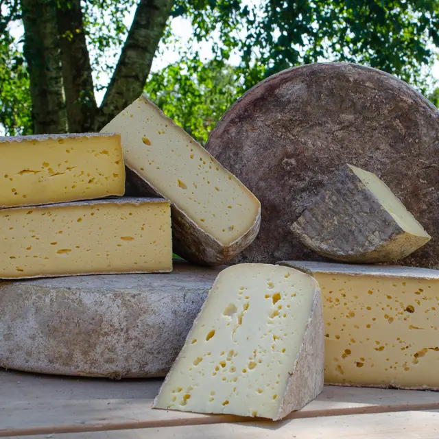Fromages-bio-au-lait-cru