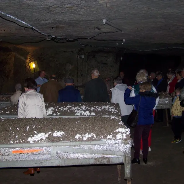 La champignonnière Orbec visite guidée