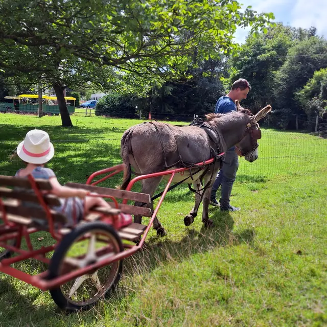La Ferme Au Fil des Saisons 2023 I.Henry (8)