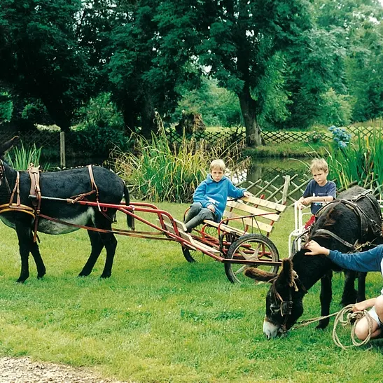 La Ferme Au fil des Saisons - Amfreville les Champs (2)