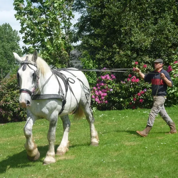 La Ferme Au fil des Saisons - Amfreville les Champs (4)