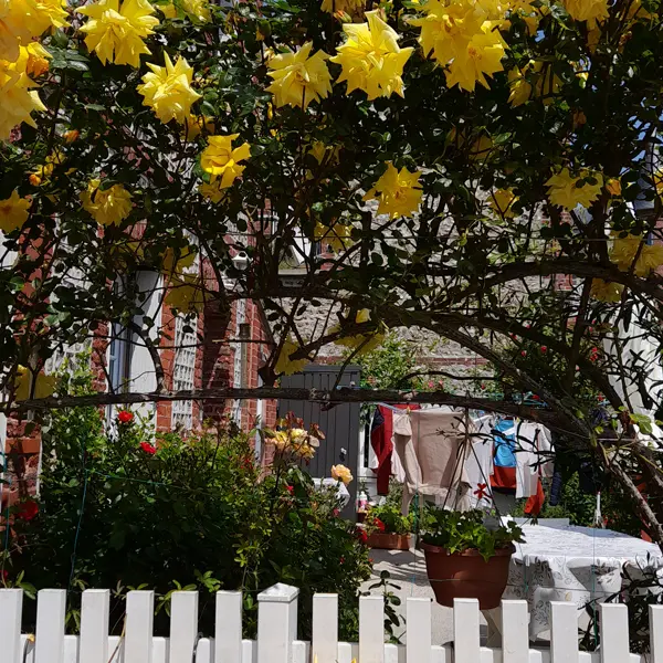 La Minouchette - Jardin