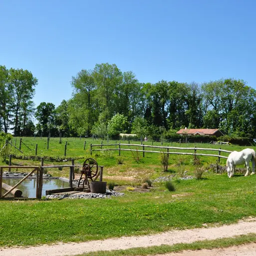 La-ferme-©Ferme-Pédagogique