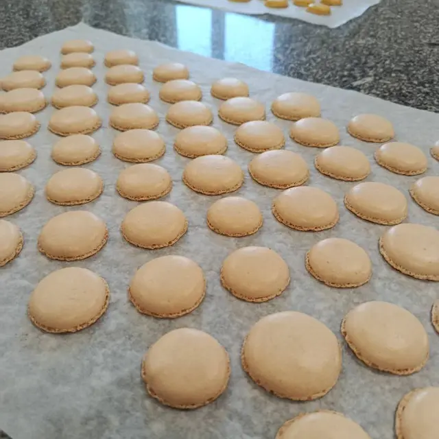 La forêt des macarons