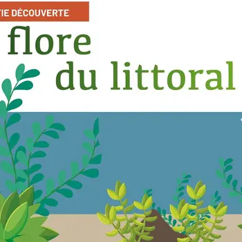 La Flore du littoral