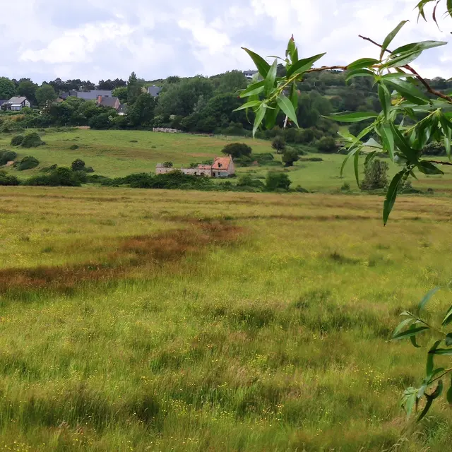 Le vivant de la vallée de la Scie