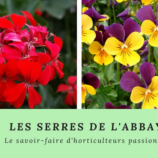 Les-Serres-de-l'Abbaye-800x600-1