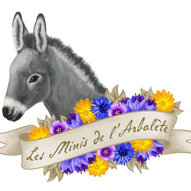 Logo Minis Arbalète