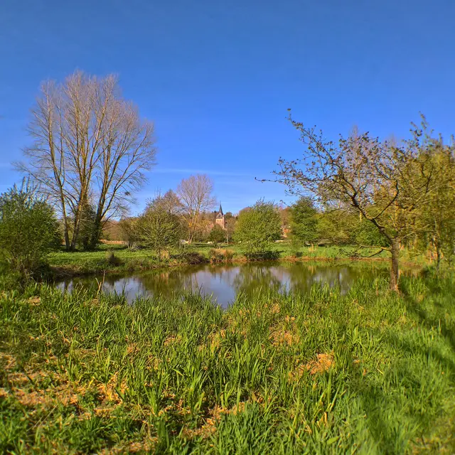 Nature : Marais de Longueil