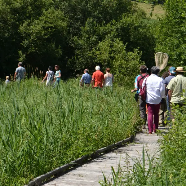Marais-des-communaux