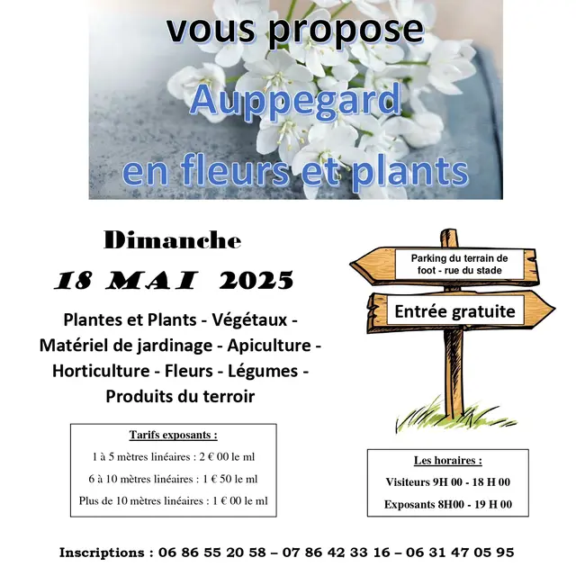 Marché aux plantes et plants_jpg