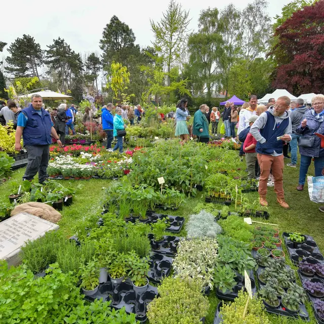 Fête des fleurs