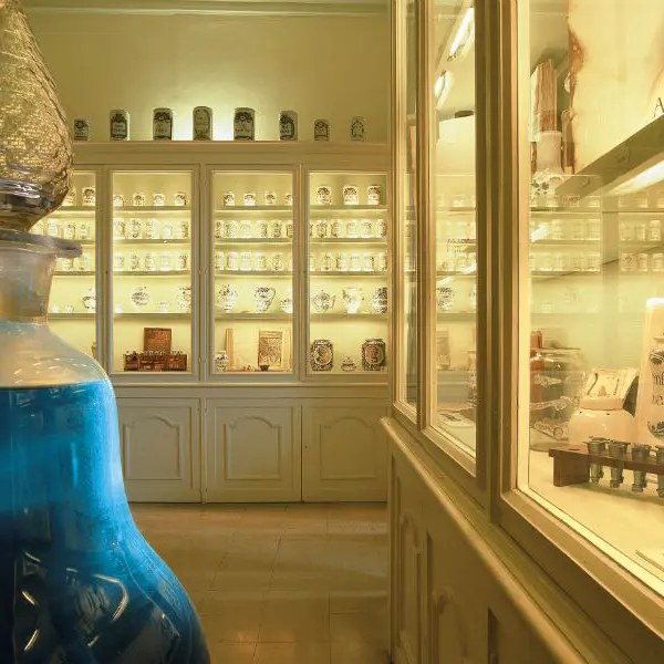 Musee Flaubert et histoire de la medecine