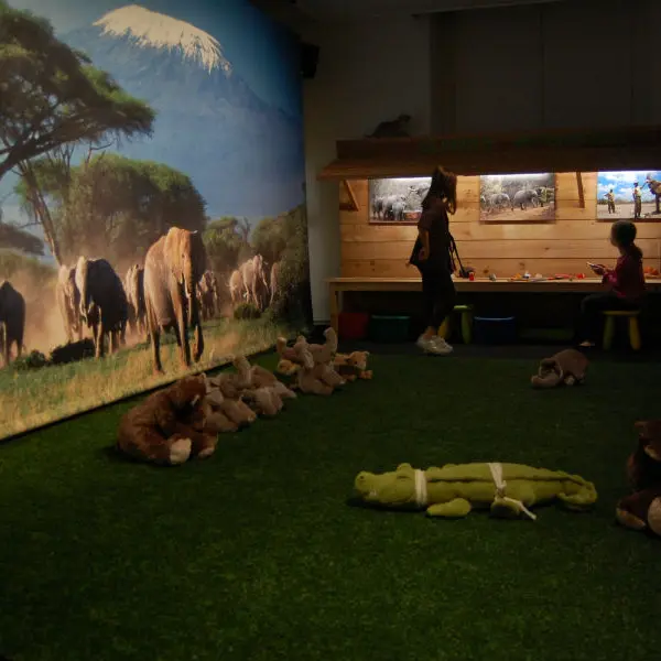 Museum Histoire Naturelle