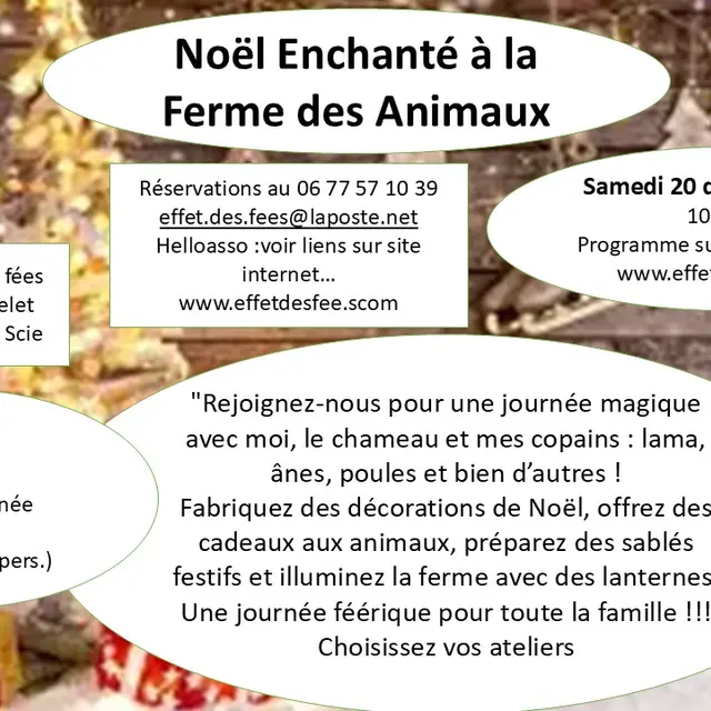 Noël Effet des Fées 2025