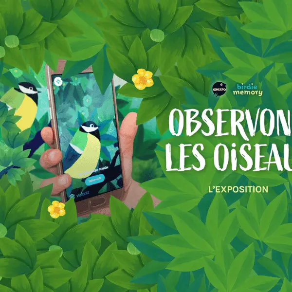 Exposition observons les oiseaux