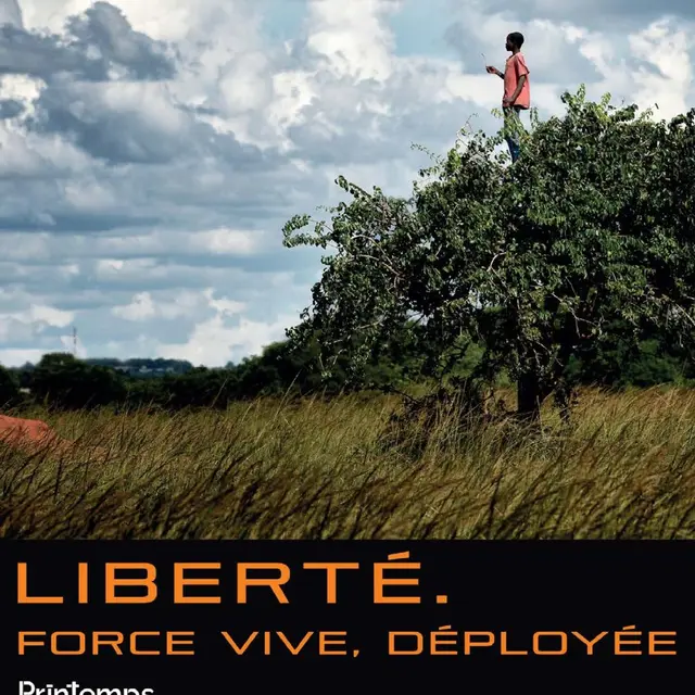 Elegant Minimalist A4 Stationery Paper Document - 1