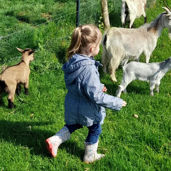 Au petit bonheur d'emma ateliers ferme bosc mesnil