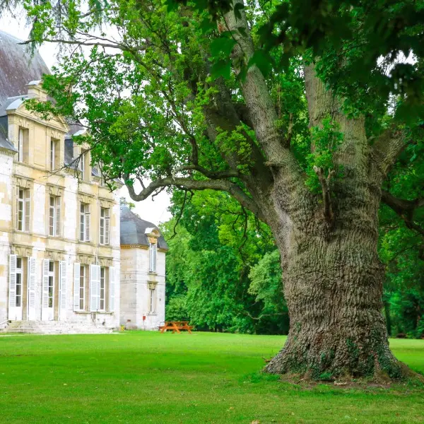 Parc du Château de la rivière Bourdet - Quevillon