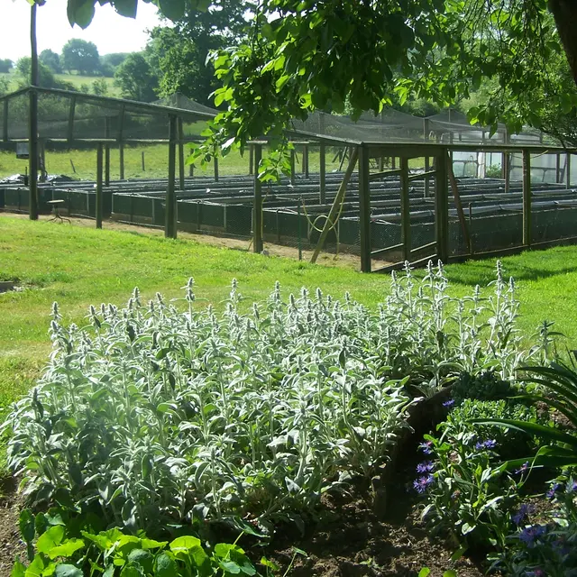 Parc escargots
