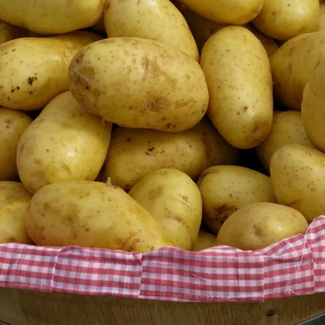 Patate
