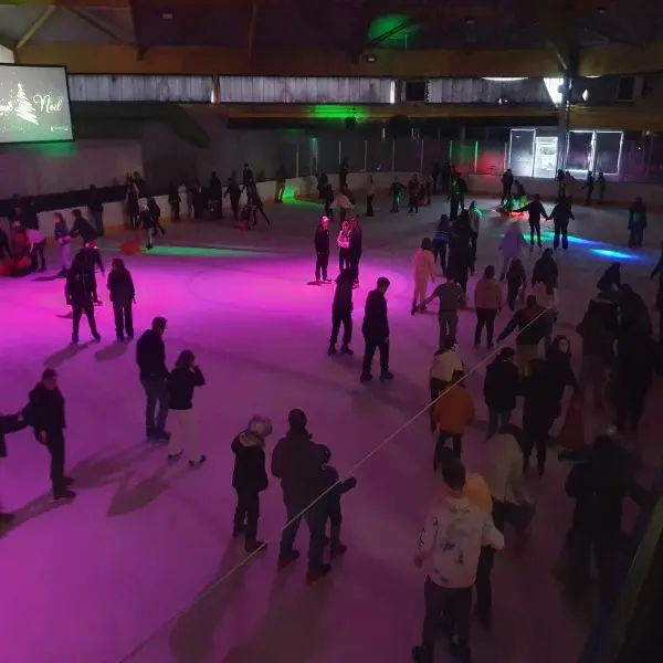 Patinoire de l'Oasis - Cléon
