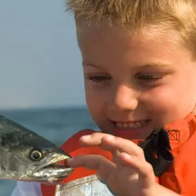 Pêche en mer
