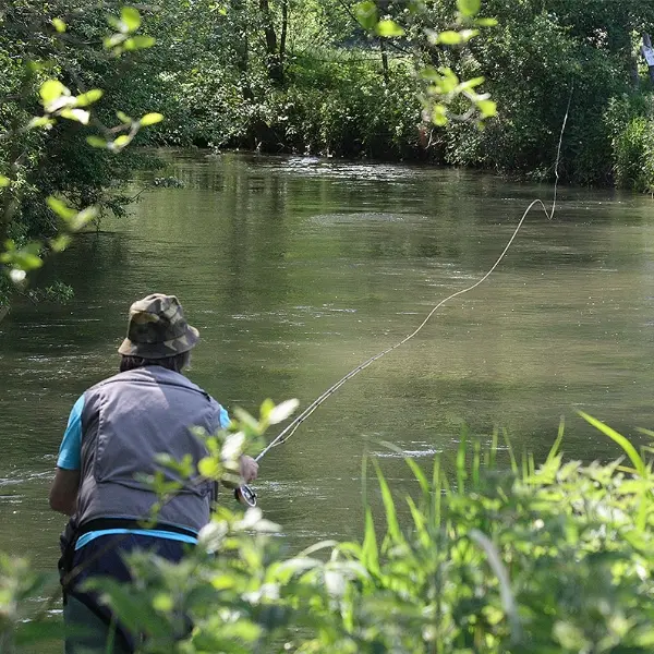 Pêcheur à la mouche