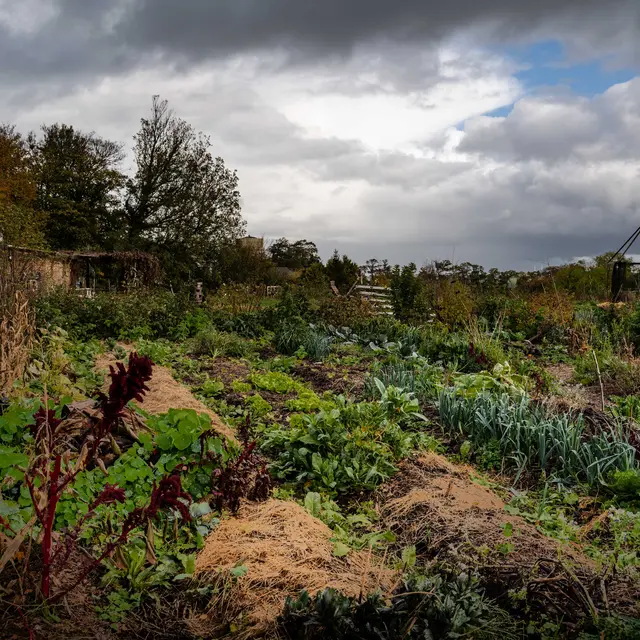 permaculture dieppe