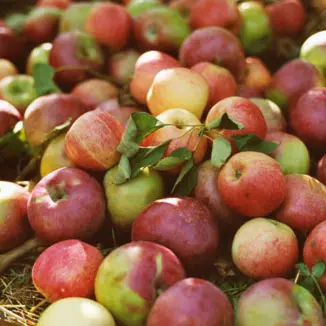 Pommes