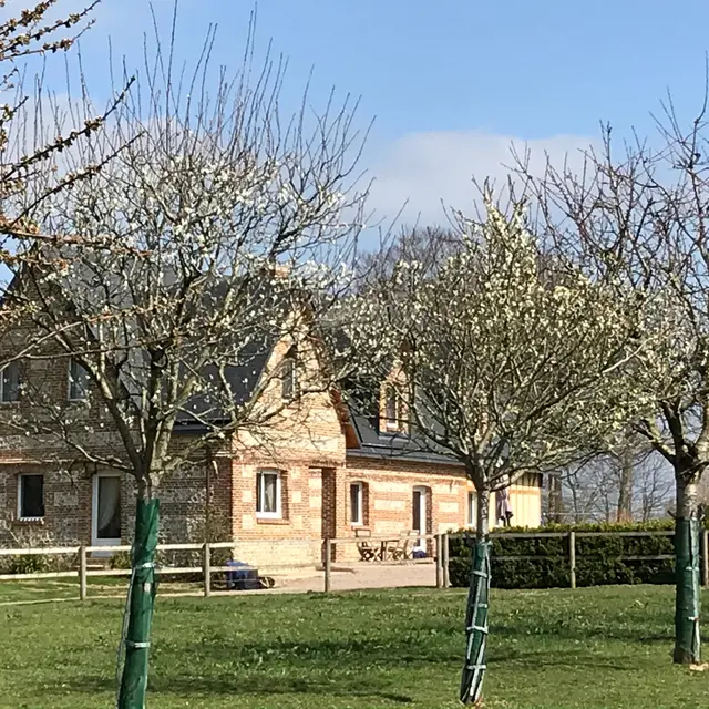 Pressoirdu BoisGribout