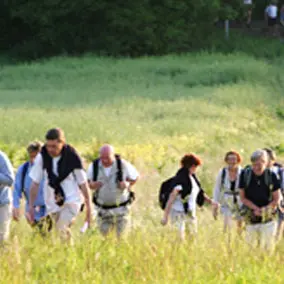 Randonnée pédestre - Campagne