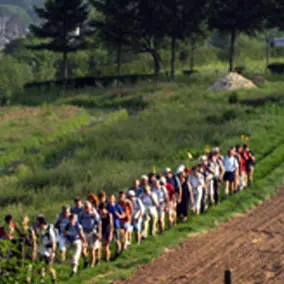 Randonnée pédestre - Campagne