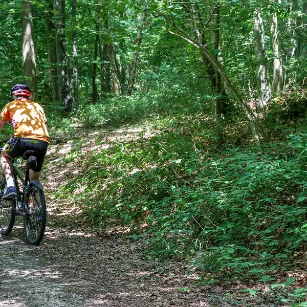 Randonnée Caux Vallée de Seine Caudebec-en-Caux VTT (15)