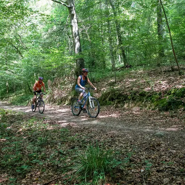 Randonnée à VTT