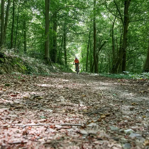 Randonnée VTT