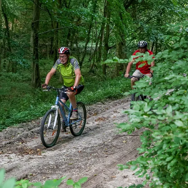 Randonnée Caux Vallée de Seine Caudebec-en-Caux VTT (10)
