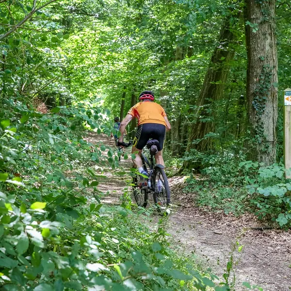 Randonnée Caux Vallée de Seine Caudebec-en-Caux VTT (12)