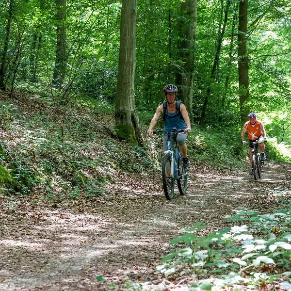 Randonnée à VTT